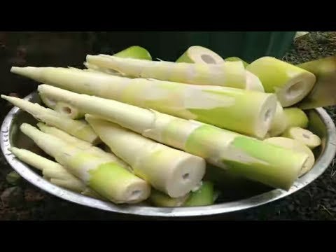 तामाको बहुउपयोगी गुणहरु