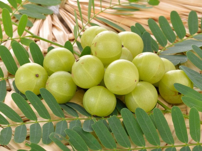 अमला एक गुणकारी फल हो ।
