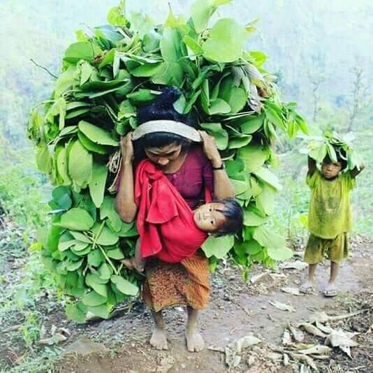 सौभाग्यले तिमीले नारीको सृष्टि पाएकी छौ