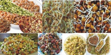 अंकुरित अन्न अमृत समान