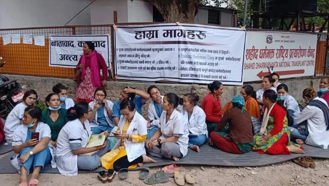 नर्सको आन्दोलनले गर्दा मानव अंग प्रत्यारोपण केन्द्रको सेवा प्रभावित