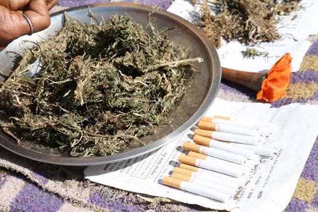 लाजिम्पाटमा ५० किलो गाँजासहित २ जना पक्राउ