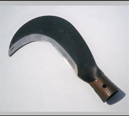 खुर्पा प्रहार गरी श्रीमतीले गरिन् श्रीमानको हत्या