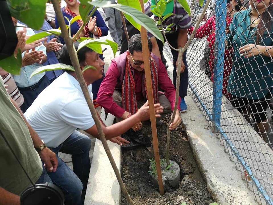 काँडाघारी सेवा समाजद्वारा आयोजित वृक्षारोपन कार्यक्रम सम्पन्न