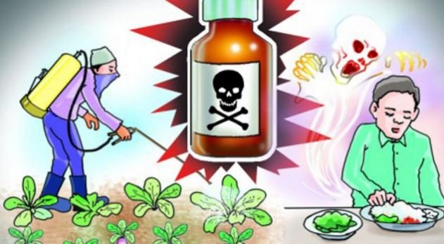 तरकारीमा विषादीः विकराल बन्दै विषादी , स्वास्थ्य जोखिममा