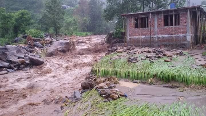नुवाकोट वाढि अपडेटः लाखौ धानवालीको क्षति (भिडियो)