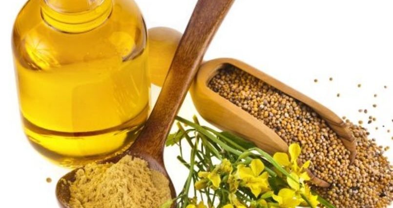 स्वास्थ्यको लागि तोरीको तेल लाभदायिक