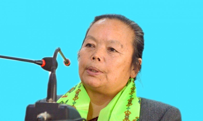 मन्त्री थापाद्वारा प्रजनन अधिकारमा समर्थन जनाउन अन्तर्राष्ट्रिय समुदायसँग आग्रह