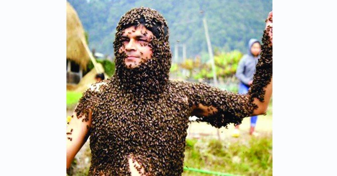 ‘माहुरी म्यान’को दुःखेसो महको गुणस्तर प्रमाणित गर्ने ल्याब छैन